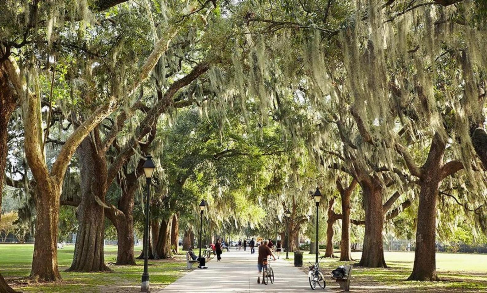 ☆Historic Living•2 Separate Spaces•Downtown•Walk To Forsyth Park•Private Patio/Porch☆ Villa Savannah Bagian luar foto